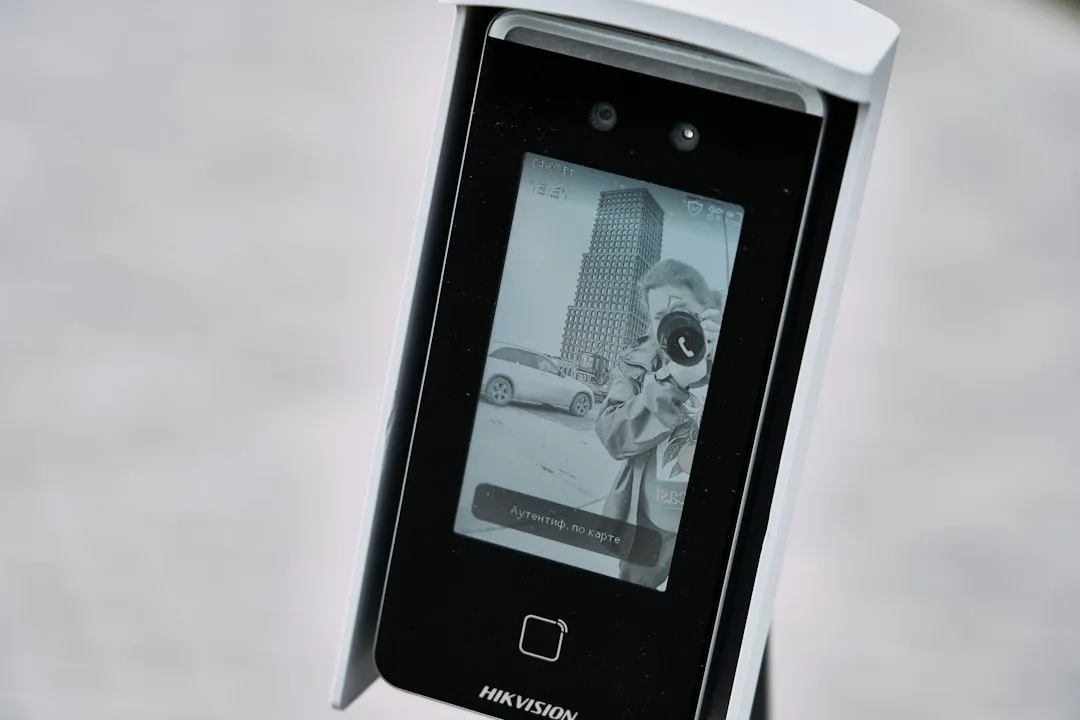 猴头菇、蓝莓干与松子在林下食品中的应用场景解析正文配图 1